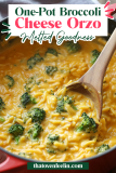 One Pot Broccoli Cheese Orzo