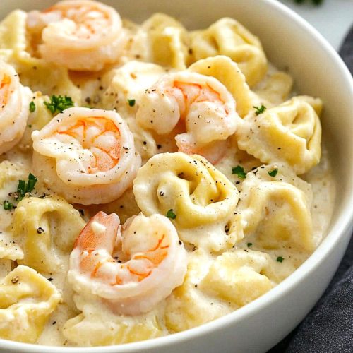 Shrimp Tortellini Alfredo