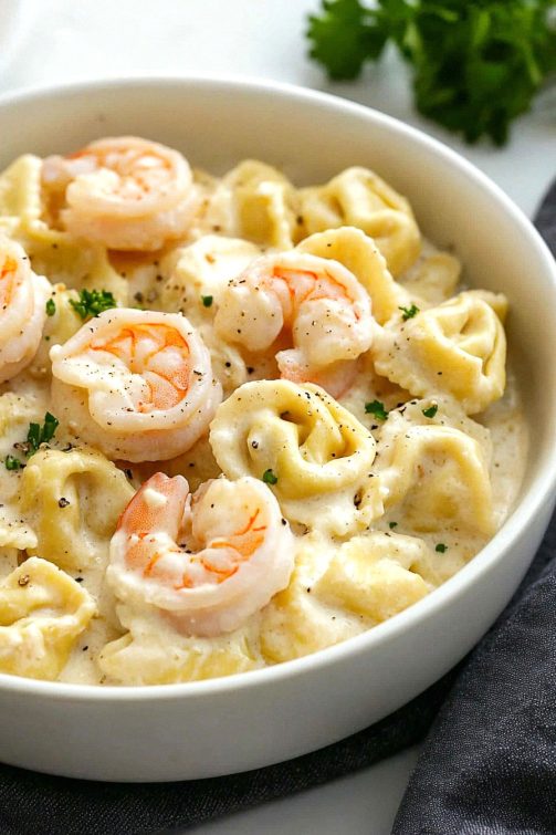 Shrimp Tortellini Alfredo