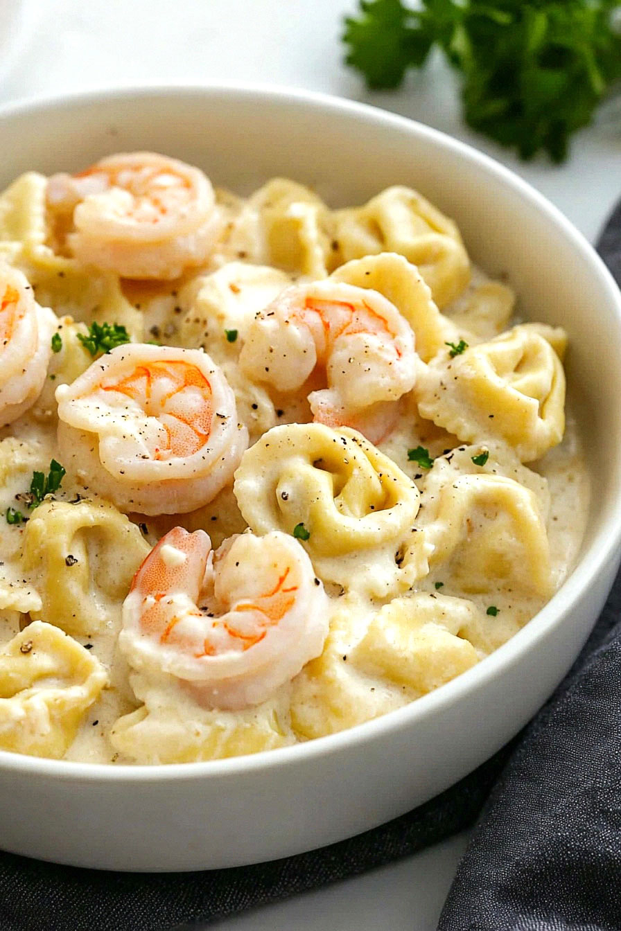 Shrimp Tortellini Alfredo